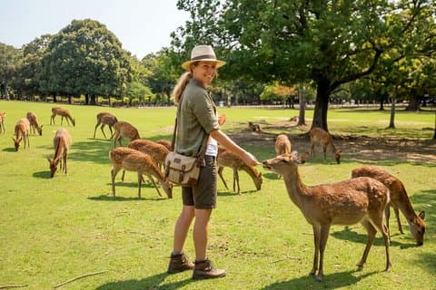 Nara Deer and Kyoto Panorama Kansai One Day