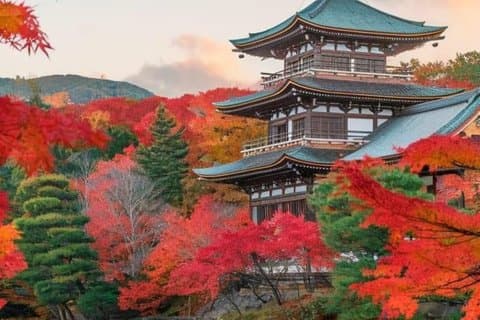 Nikko Private Tour with English Speaking Driver