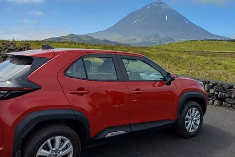 Pico Island: Your Private Half-Day Guided Experience
