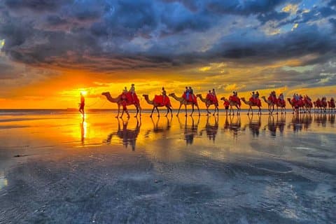 1 time Broome Sunset Camel Tour på Cable Beach