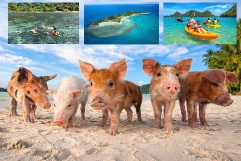 Oplevelse af svinø med hurtigbåd, snorkling, kajaksejlads Afslapning på stranden