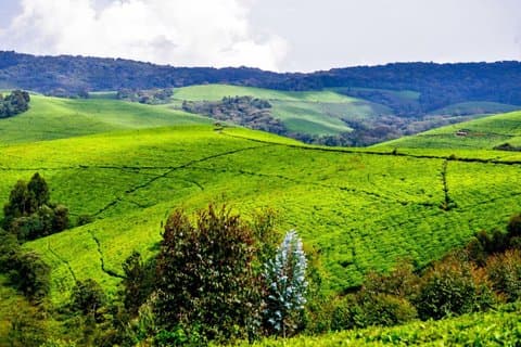 3 jours à la découverte de la beauté du Burundi