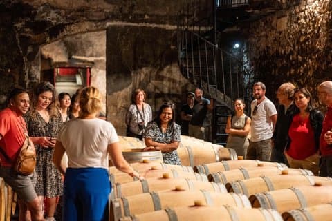 Médoc Wine Tour de Bordeaux Châteaux Visitas e degustações