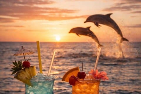 Hotell nära Sunset & Dolphin Tour