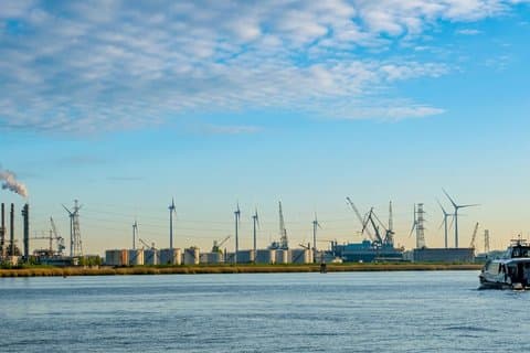 Antuérpia: Passeio público de barco pelo Porto de Antuérpia com Guia Especialista