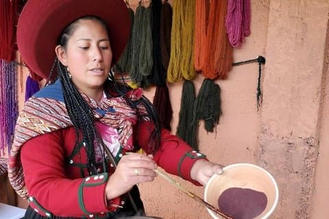 Classes de textiles traditionnels andins