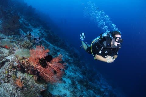 3 Dive Day Trip Semporna for Certified Divers