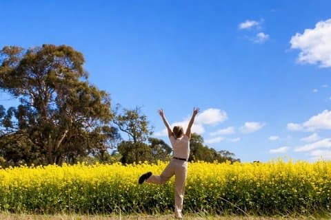 Privat vilde blomster, canola felter og arv ture fra Perth