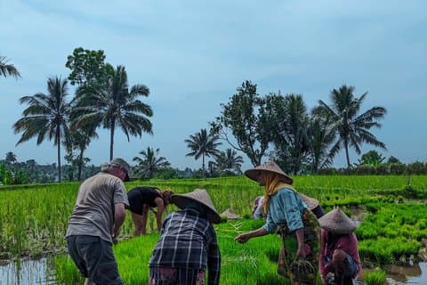 Visite à pied de Tetebatu