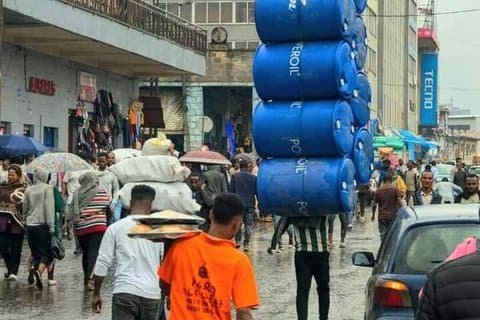 Best of Addis Ababa History and Culture City Tour (Flexible)