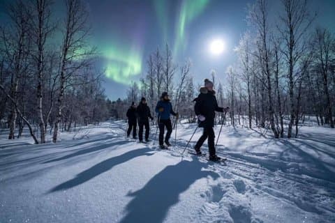 Northern Lights Snowshoe Adventure