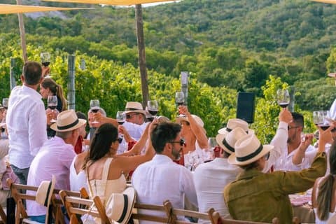 Visita ao Bodega Oceánica e almoço na Bodega Garzón