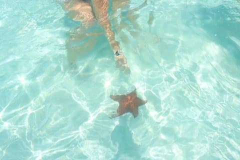 Saona Island Tour 4 Beaches with Natural Pool and Turtles