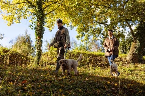 Kookles van boerderij tot tafel en lekker eten in Assisi
