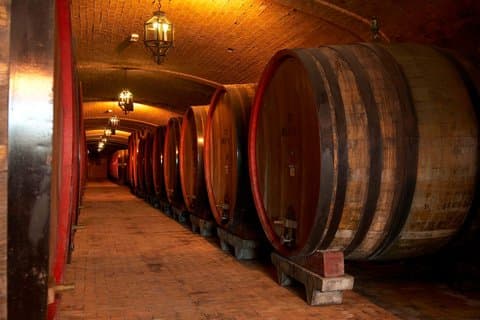 Montepulciano: Kælderudflugt, vinsmagning og frokost
