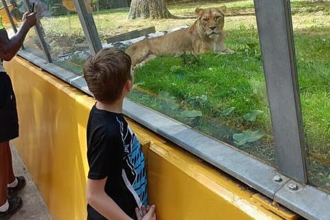 From Safari to Vikings A Family Day Tour