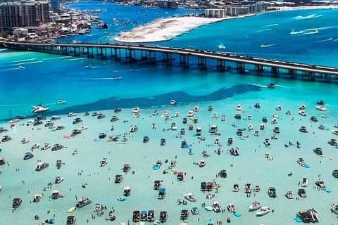 Crab Island & Dolphin Cruise (Attività Sandbar IN ACQUA!!)
