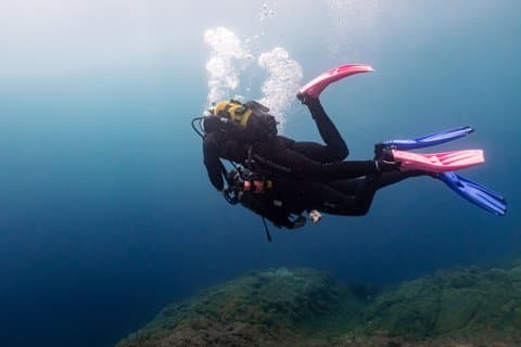 Discover Scuba Diving Experience in Madeira for Beginners