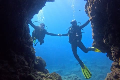 Scuba Diving in magic wall of Madeira Island(for certified diver)