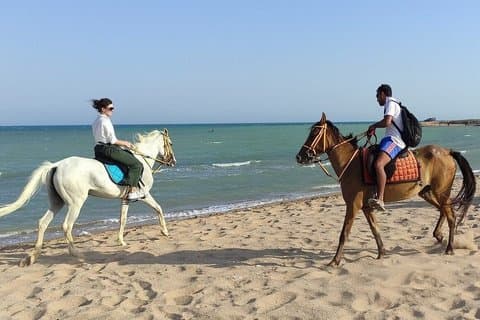 Hurghada 2 - Paseo a caballo de la hora : Desert & Sea Experience
