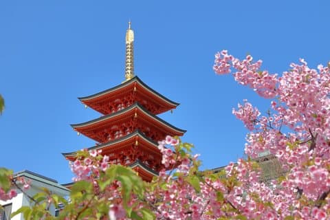 Explore Fukuoka History Culture and City Life