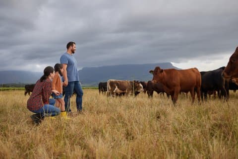 Farm to Picnic: Animals, Seasonal Upick Fruit & Countryside Lunch