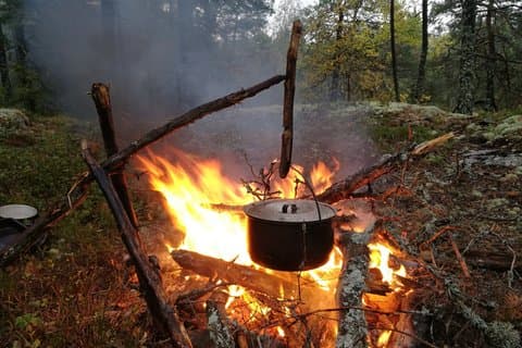 Stockholm foraging & udendørs madlavning : 3 - Course Fire Meal