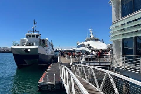 Robbeneiland halve dagtour met vooraf geboekt veerbootticket