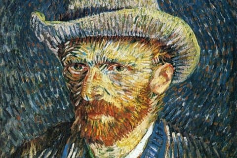 Amsterdam : Ingresso al Museo Van Gogh con visita guidata facoltativa