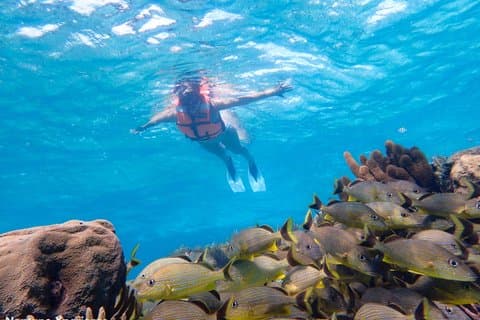 Mergulho com snorkel em recifes de coral com um guia especializado