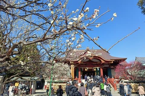 Tokyo East Side Cycling Tour Explore Residential Neighborhoods