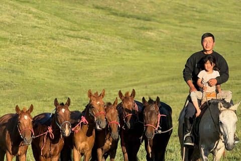 Horse Riding and National Herder