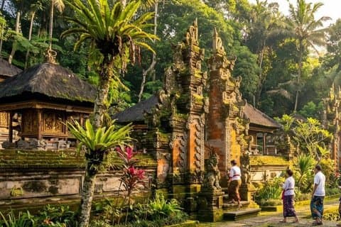 Balinees dorp, tempels en sightseeingtour