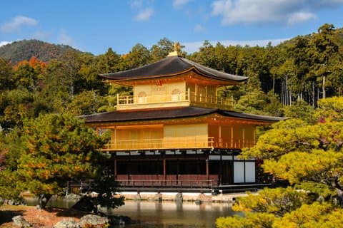 Kyoto Full-Day Bus Tour: Nijo, Arashiyama & Fushimi Inari (EN/ES)