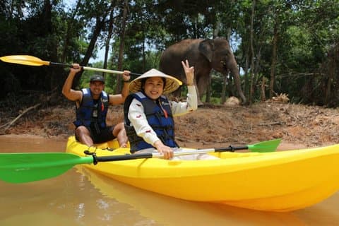 Phuket Elephant Observation & Lake Kayaking Tour