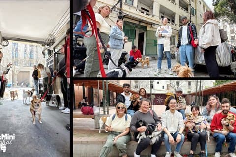 Shanghai 1st Dog-Themed Pet Culture Walk with 5 Food & Dessert