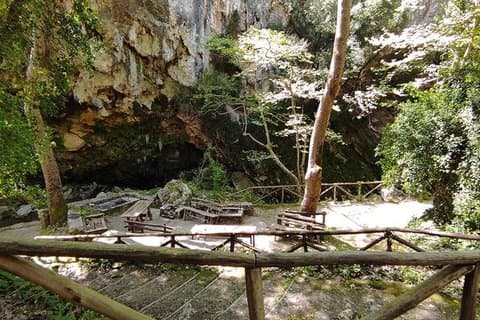 Excursion d'une journée dans la nature