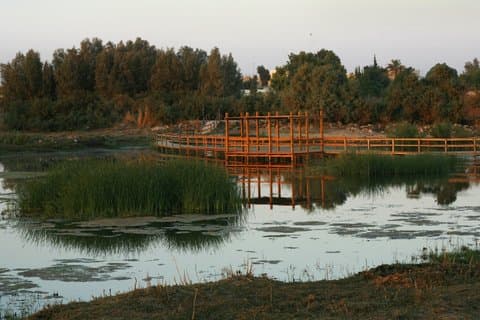 Experiencia privada de vida salvaje de Shaumari y alojamiento en la reserva de humedales Azraq.