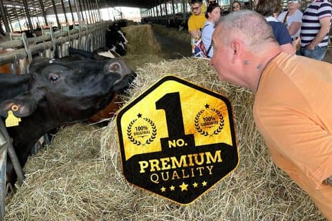Modena privat ekologisk Parmigiano Reggiano-tur med provsmakning