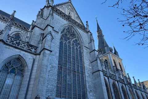 Zelfgeleide Geheimen van Luik Verkenning Spel