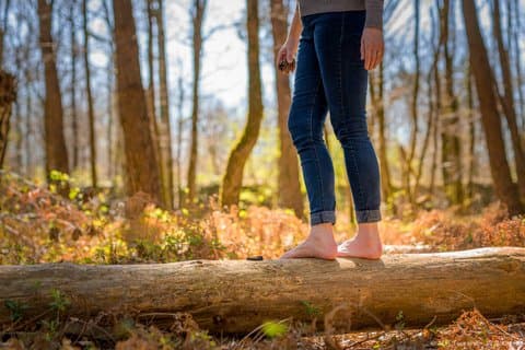 Terapia forestale: un'immersione nel cuore della natura vicino a Tours