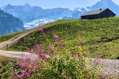 Ícones dos Alpes Suíços: Grindelwald & Lauterbrunnen