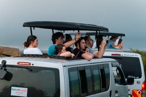 Excursion d'une journée dans le parc national de Nairobi