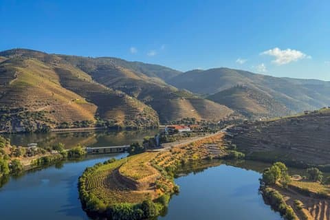 Best of the Douro in a Day: Boat, Wine and Family Lunch