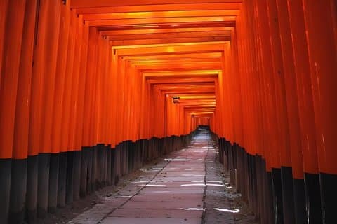 Experience Culture History and Landmarks in Kyoto Nara