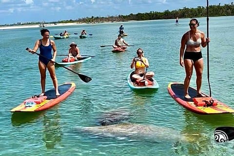 Daytona Beach Dolphin & Manatee Tour – Paddleboard o Kayak