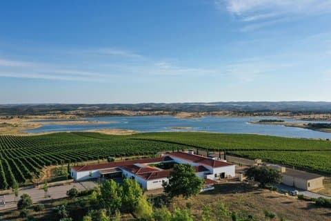 Excursion privée d'une journée à Evora avec dégustation exclusive de vin