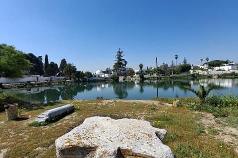 Carthage Bardo Museum UNESCO Tunis og Sidi Bousaid Privat tur