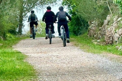 Cykeltur bland Trulli-trädgårdarna i Itria-dalen