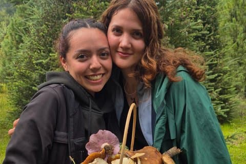 Experiência na Floresta: Colheita de Cogumelos no Monte Tláloc